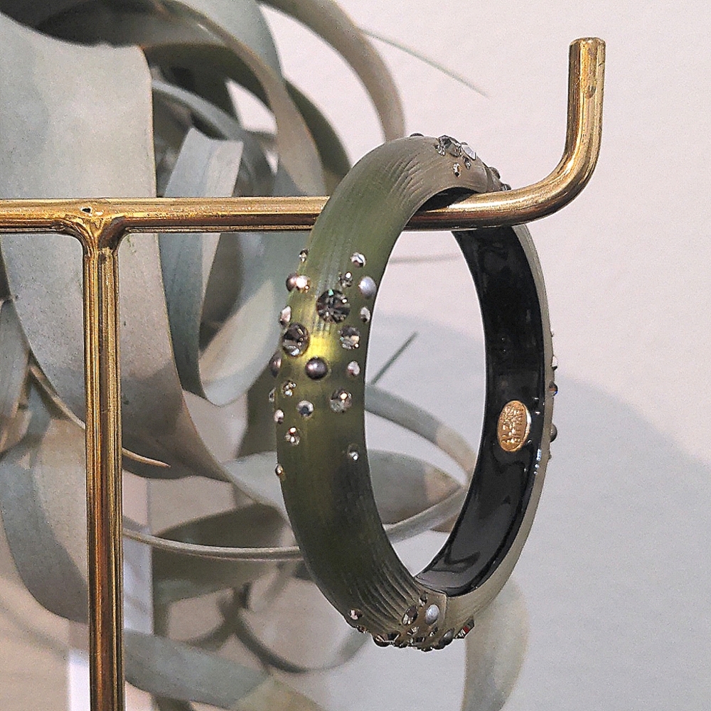 Alexis Bittar Hinged lucite cuff bracelet